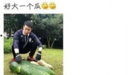 接档吃瓜,揭秘接档吃瓜背后的娱乐江湖