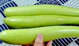 老纪吃瓜说瓜,揭秘娱乐圈那些不为人知的幕后故事