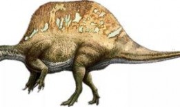 棘龙吃瓜视频大全,瓜果盛宴视频大盘点