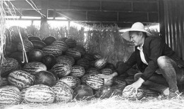 雒城吃瓜群众,揭秘街头巷尾的热辣话题