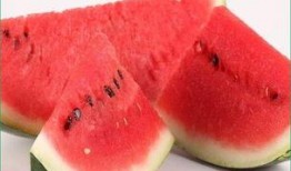 海鲜瓜怎么吃,探索美味与营养的完美融合