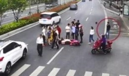 蜘蛛感应车祸吃瓜,揭秘车祸背后的神秘“吃瓜”现象