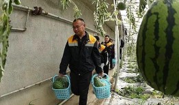 姚厂吃瓜驿站,揭秘娱乐圈幕后故事