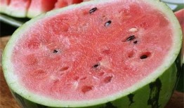 吃麒麟瓜苦味,探寻天然苦涩背后的奇妙奥秘