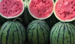 吃瓜在线免费阅读,揭秘娱乐圈幕后故事