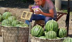 吃瓜会饿,揭秘瓜果美食背后的营养秘密