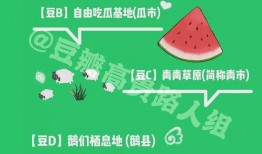 安永吃瓜 豆瓣,揭秘豆瓣背后的故事与争议