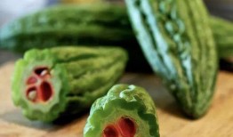 杜桥镇吃瓜,瓜香四溢，品味生活新风尚