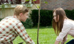 明星的瓜永远吃不清,明星八卦，永远吃不清的甜蜜陷阱