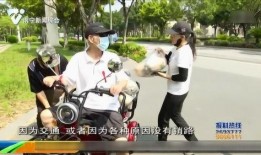 吃瓜热心市民,见证娱乐圈风云变幻的幕后推手