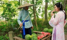 路遇吃瓜,揭秘街头奇闻轶事