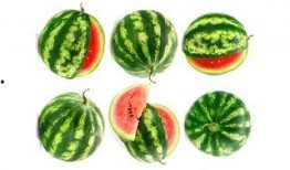 吃小瓜打沾水,夏日清凉美食之旅