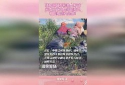 云南大爷大妈吃瓜图片,共享夏日清凉时光
