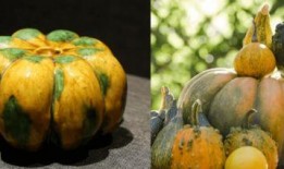 穿越到吃瓜系统,揭秘娱乐圈背后的秘密与笑料