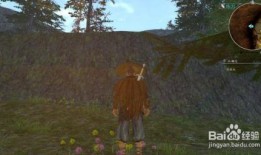 河洛洛吃瓜速度