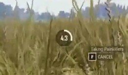 麦田公益吃瓜,一场别开生面的公益活动