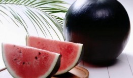 黑网吃瓜料,网络暗流涌动的秘密世界