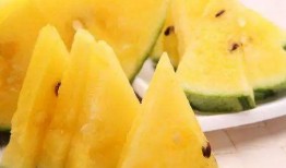 黑网吃瓜料,网络暗流涌动的秘密世界