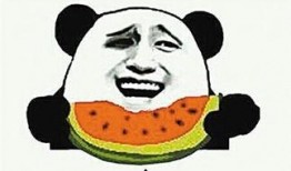 吃瓜乐曲,品味生活百态的旋律之旅