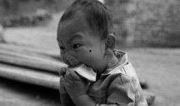 刚子姿态吃瓜,揭秘娱乐圈幕后风云