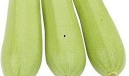 吃的那种角瓜是什么瓜,揭秘角瓜的独特风味之谜