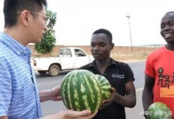 老外吃中国瓜,老外品尝中国瓜的独特体验