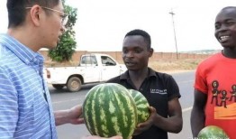 老外吃中国瓜,老外品尝中国瓜的独特体验