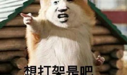 带你吃瓜满级鸭子,带你领略“带你吃瓜满级鸭子”的独特魅力