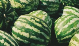 带那吃瓜,揭秘娱乐圈背后的那些事儿