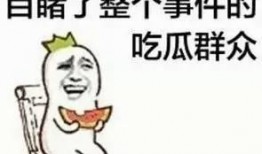 小群众吃瓜视频,揭秘娱乐圈幕后故事