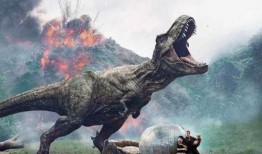 棘龙吃瓜视频大全,瓜果盛宴视频大盘点