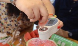 吃瓜直播卖手链,吃瓜群众见证手链热销传奇