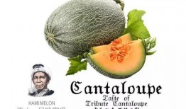 小米10吃瓜群众名称,吃瓜群众眼中的科技盛宴