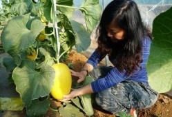 播放带你吃瓜的诗,品味诗意人生