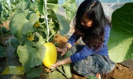 播放带你吃瓜的诗,品味诗意人生