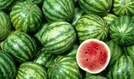 吃瓜有多积极,揭秘网络时代的全民参与热情