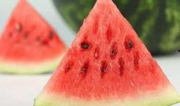 黑色玫瑰吃瓜ami,揭秘网络迷雾中的神秘故事