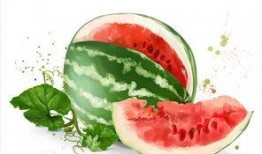 大师场吃瓜,揭秘娱乐圈幕后风云