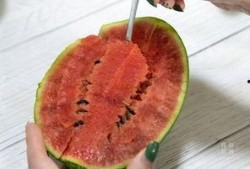 凶瓜怎么吃,解锁美味新境界