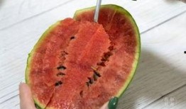 凶瓜怎么吃,解锁美味新境界