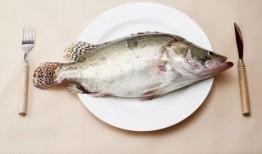 吃爆头八瓜鱼,探寻深海美食传奇