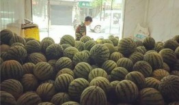 绿洲广场吃瓜群众,吃瓜群众的热闹现场