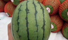 带那吃瓜,揭秘娱乐圈背后的那些事儿