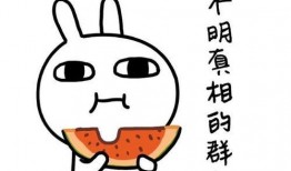 吃瓜名言,揭秘娱乐圈背后的那些事儿