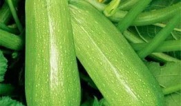 洛城吃瓜,揭秘娱乐圈的“吃瓜”盛宴