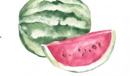 吃瓜败人品,揭秘吃瓜败人品背后的真相