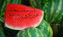 怀孕可以吃兰瓜,兰瓜助力健康孕育