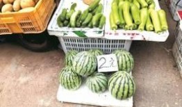 吃瓜自由活动,揭秘娱乐圈幕后故事