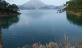 浙江旅游职业吃瓜,吃瓜之余，品味地方特色美食之旅