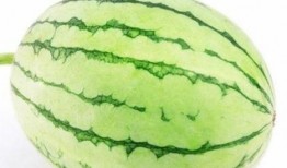 户外拍照吃瓜,共享夏日吃瓜时光